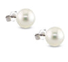 Authentic Freshwater Cultured White Pearl Earrings