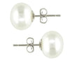 Authentic Freshwater Cultured White Pearl Earrings